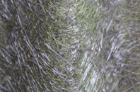 Upper Farringdon fibreglass roof work